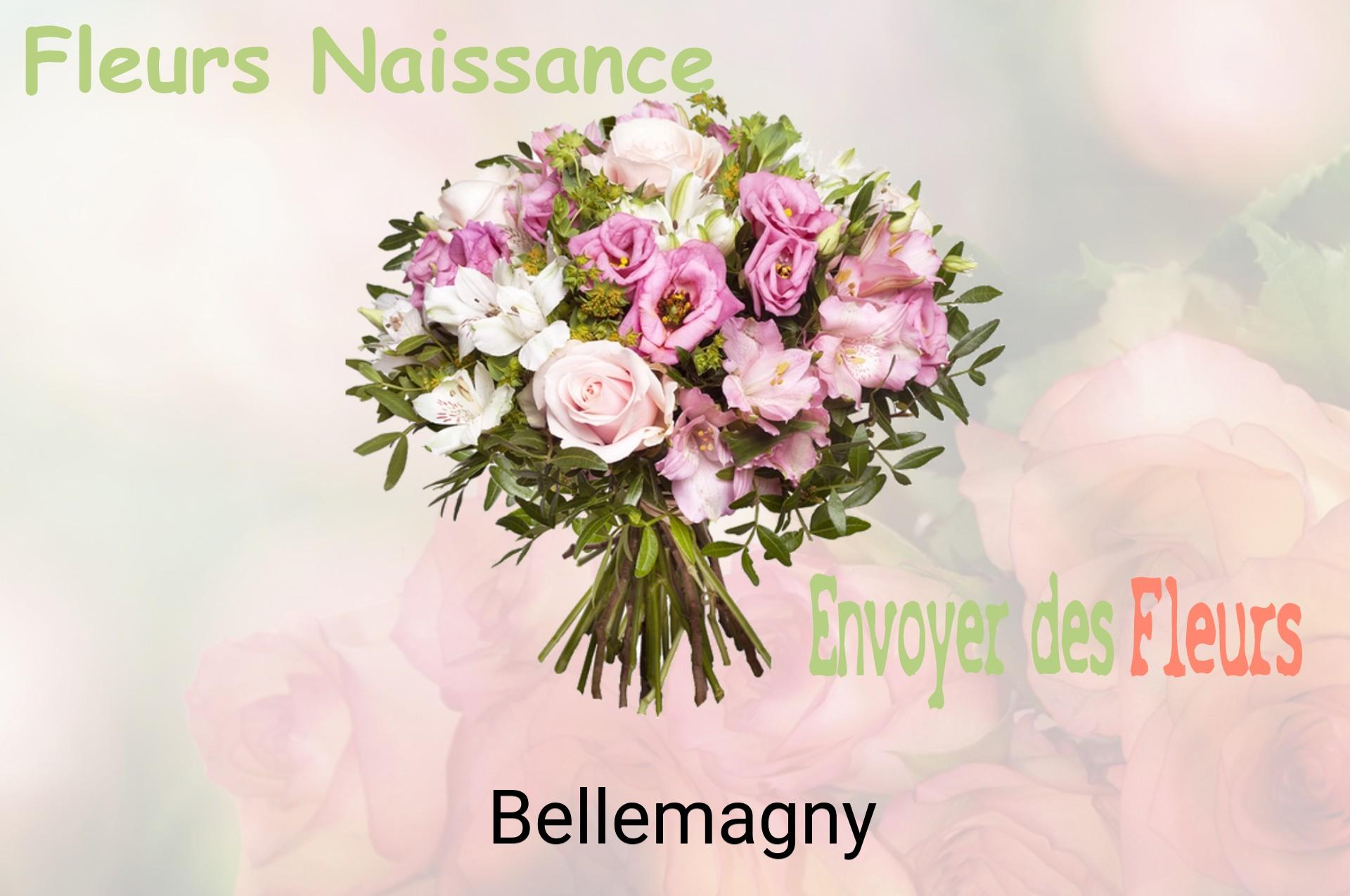 Bouquet de fleurs de naissance livré à Bellemagny